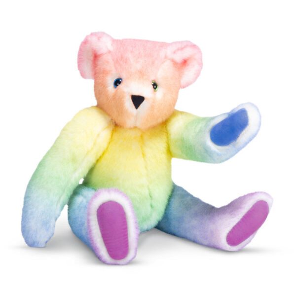 15 In. Special Edition Rainbow Bear - Image 5