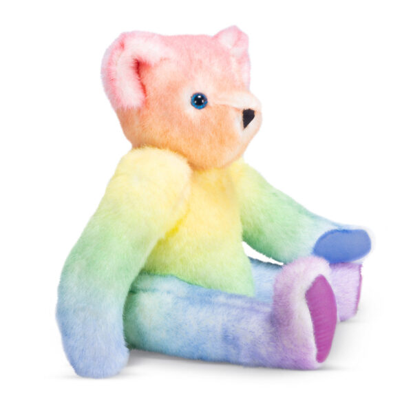 15 In. Special Edition Rainbow Bear - Image 3