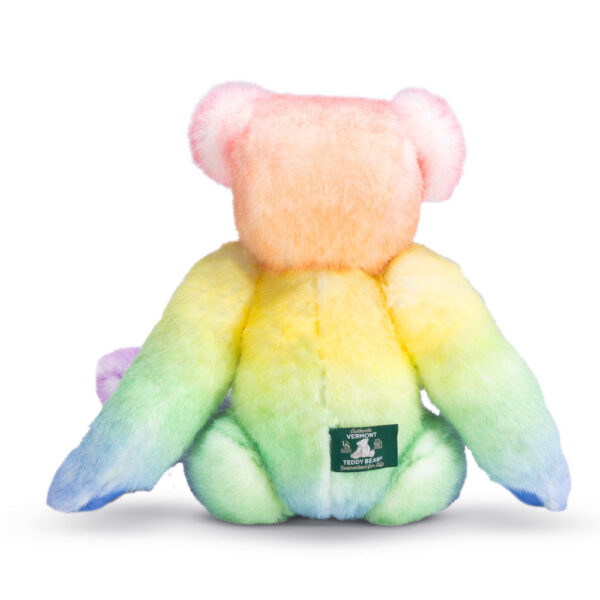 15 In. Special Edition Rainbow Bear - Image 4