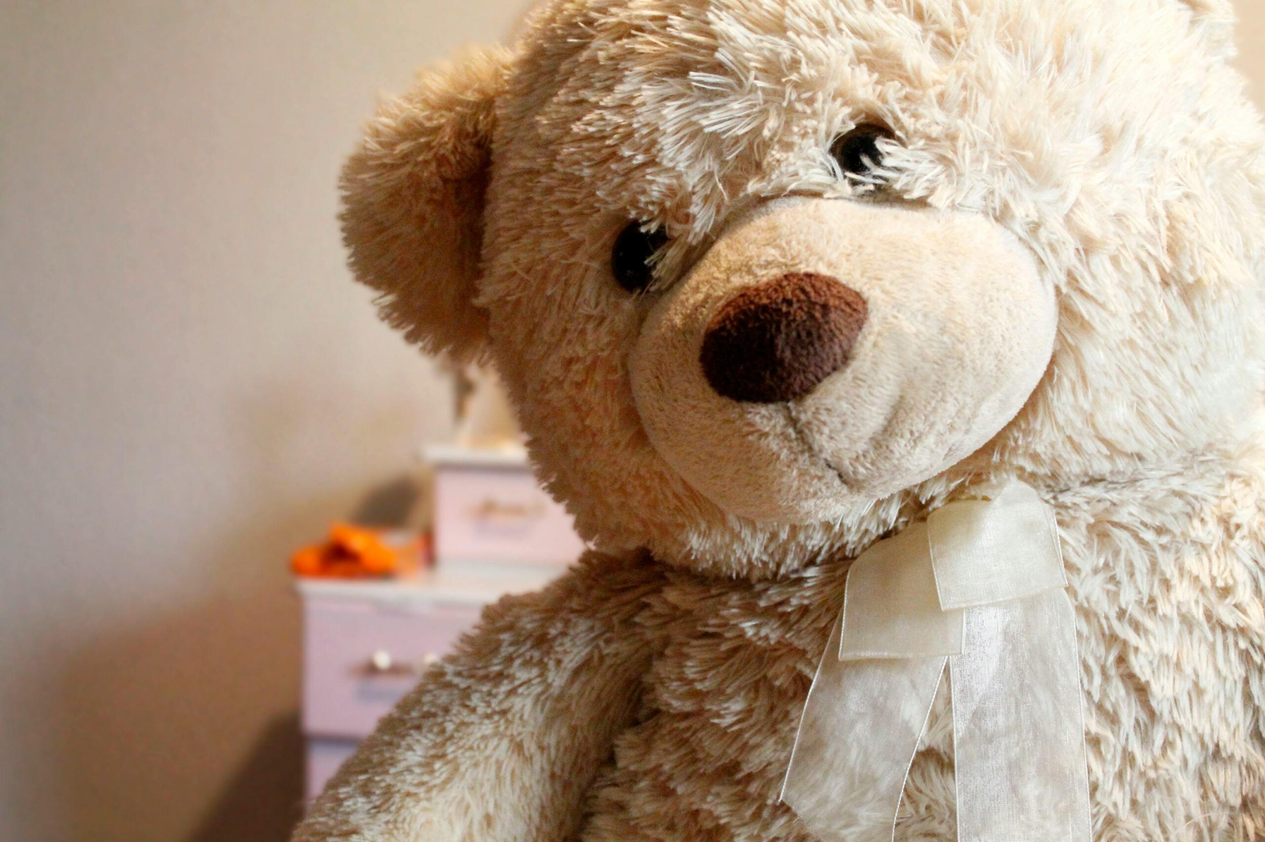 Read more about the article How to Choose the Perfect Teddy Bear Gift