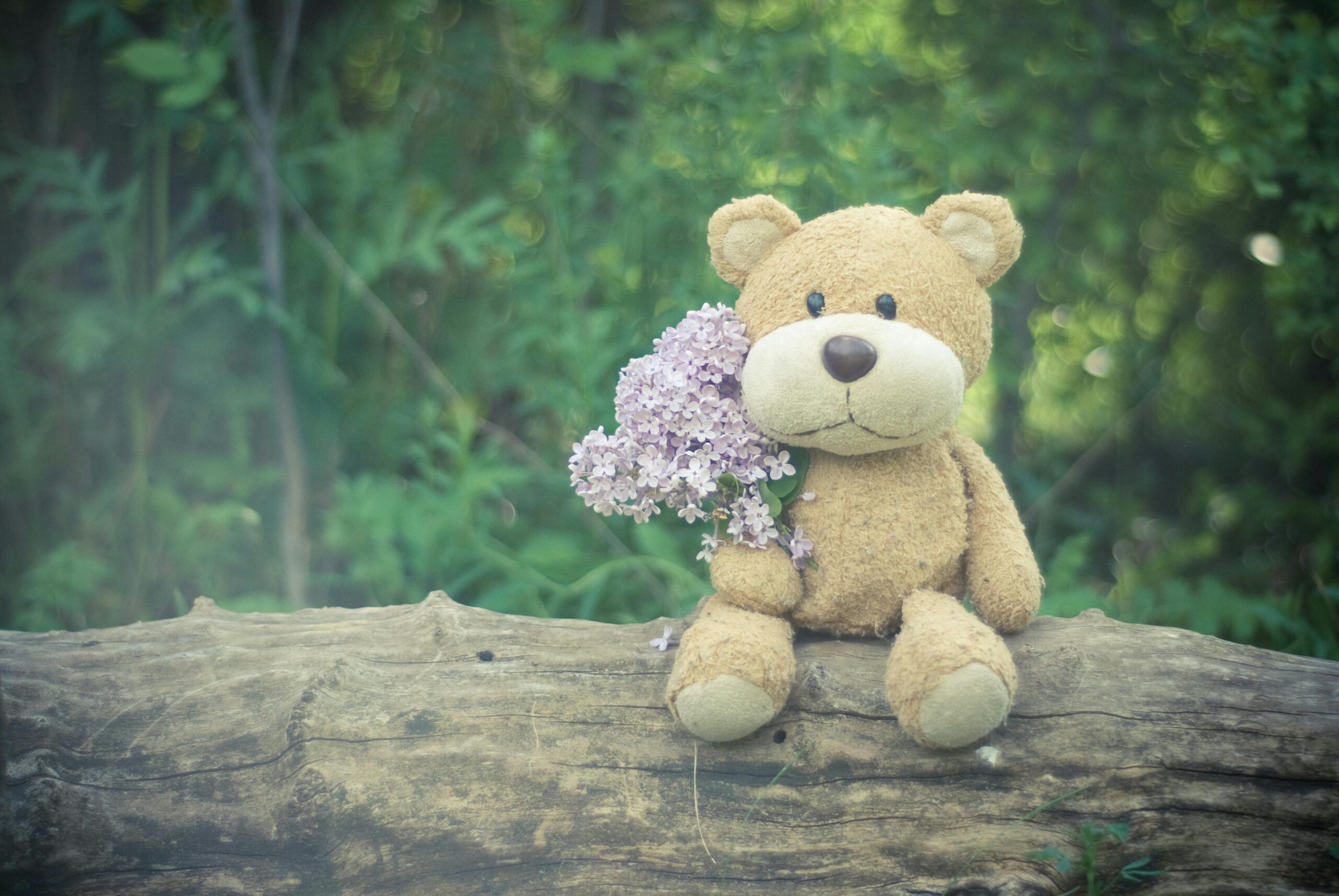 Read more about the article Why Teddy Bears Make the Best Baby Shower Gifts