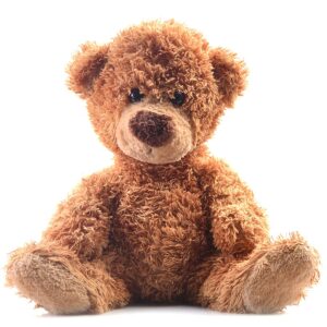 Fluffy Rusty – The Hug-Ready Classic Bear